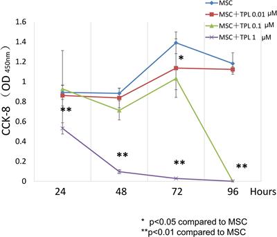 The Immunomodulatory Effect of Triptolide on Mesenchymal Stromal Cells